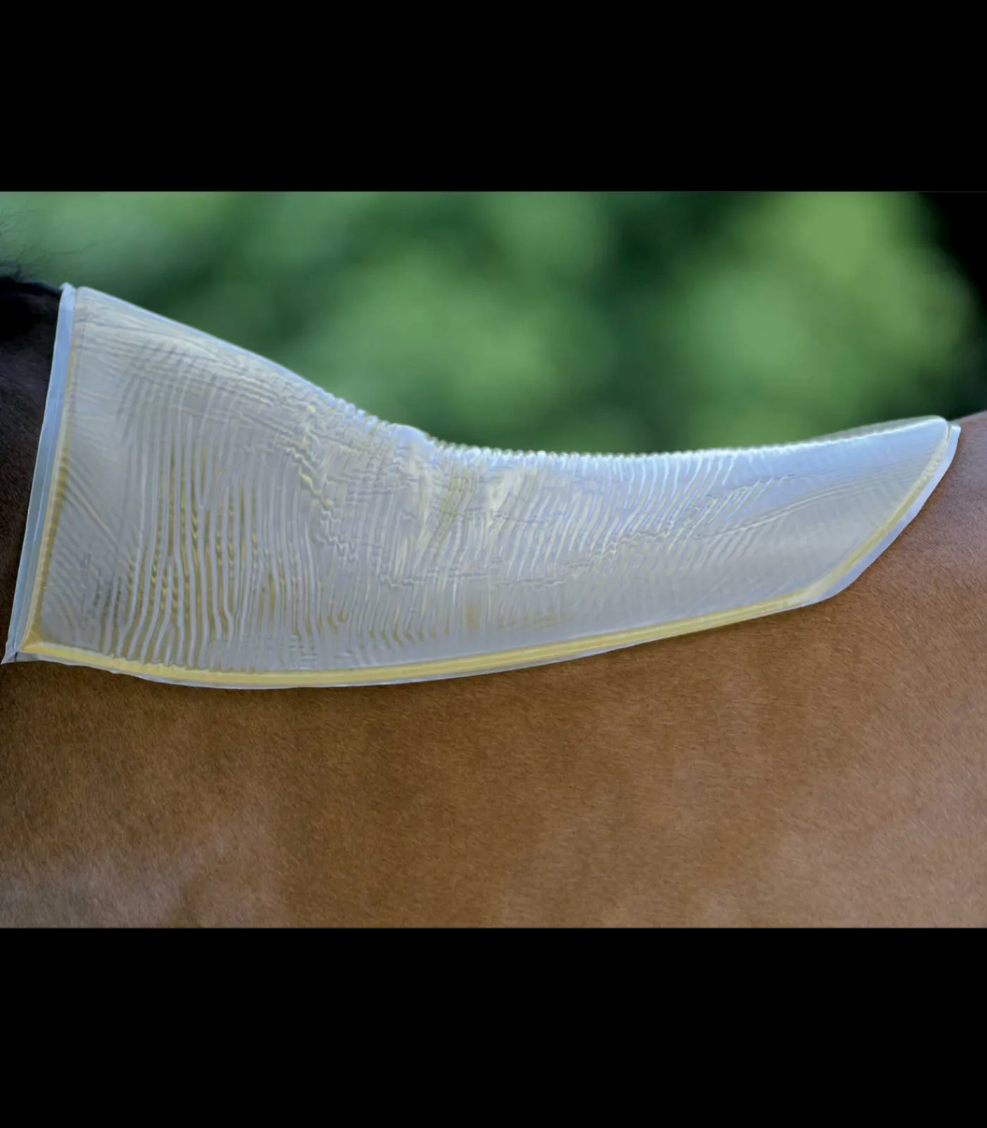 AKTON Sattelpads>® Back Pad