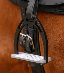 Waldhausen Steigbügel><noscript><img width=