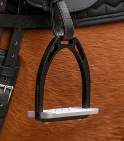 Waldhausen Steigbügel><noscript><img width=