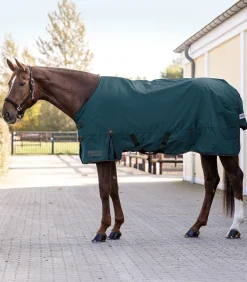 Waldhausen Outdoordecken></noscript>ARCTIC Outdoordecke, 100 g