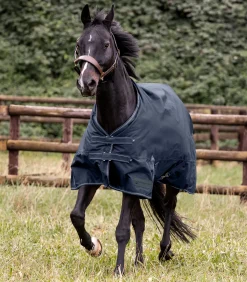 Waldhausen Outdoordecken></noscript>ARCTIC Outdoordecke, 100 g