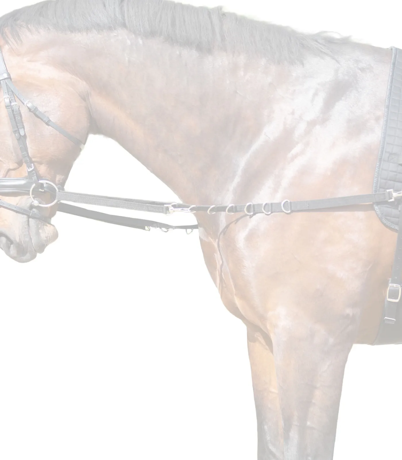 STAR Voltigieren>Ausbindezügel Nylon