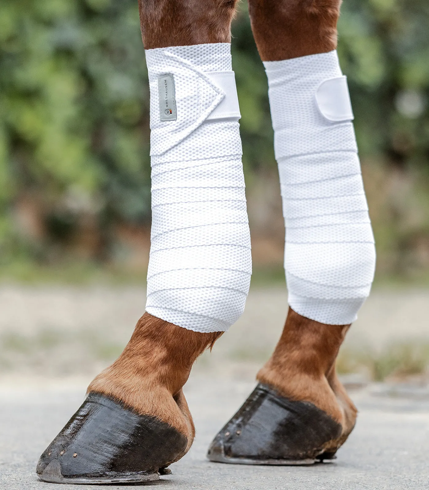 Waldhausen Bandagen & Bandagierunterlagen>Bandagen Breath, 4er Set