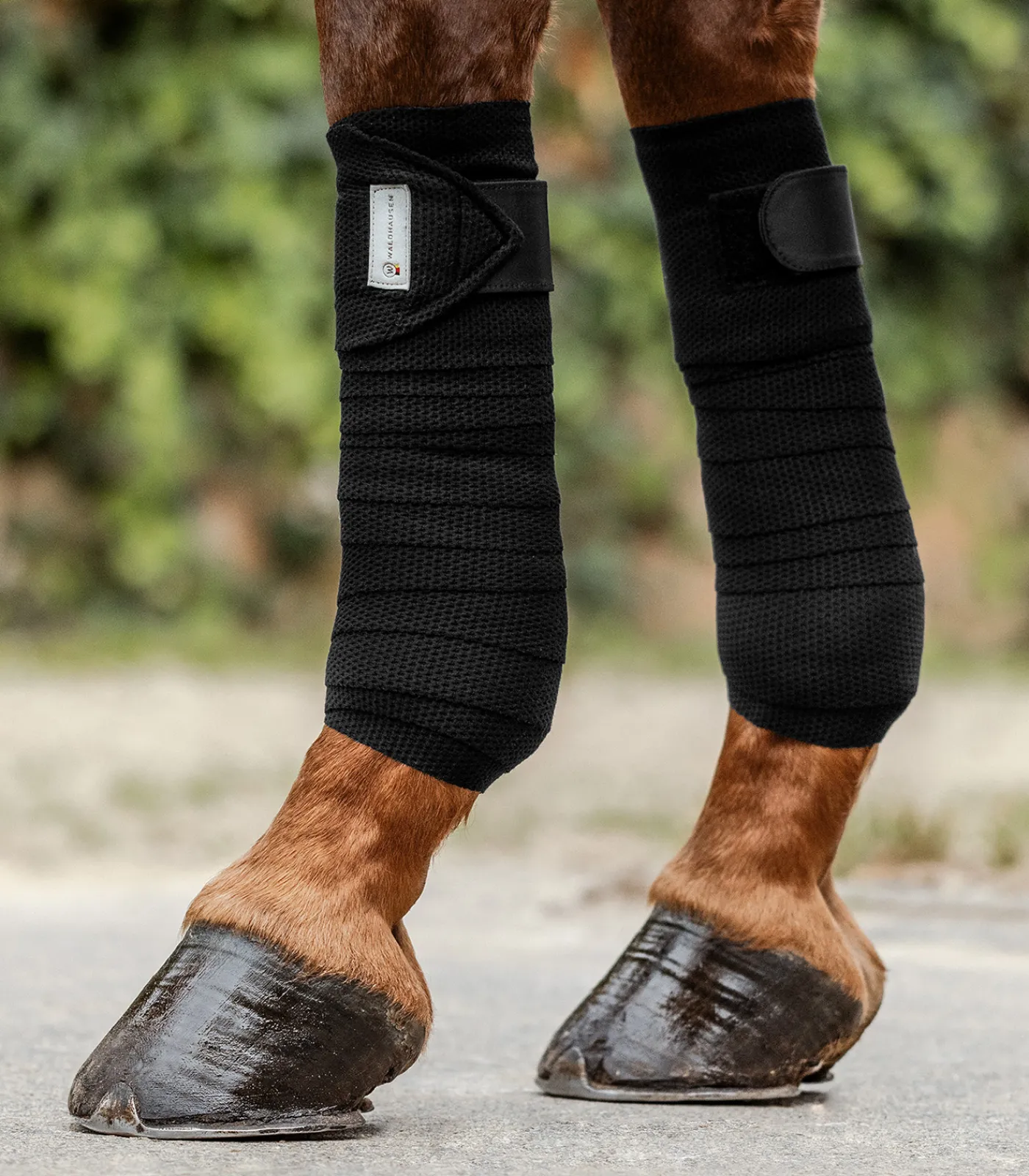 Waldhausen Bandagen & Bandagierunterlagen>Bandagen Breath, 4er Set