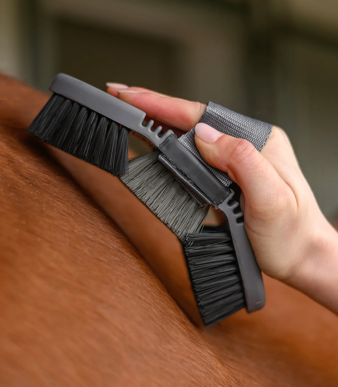 Waldhausen Putzzeug>Basic Flexi Kardätsche