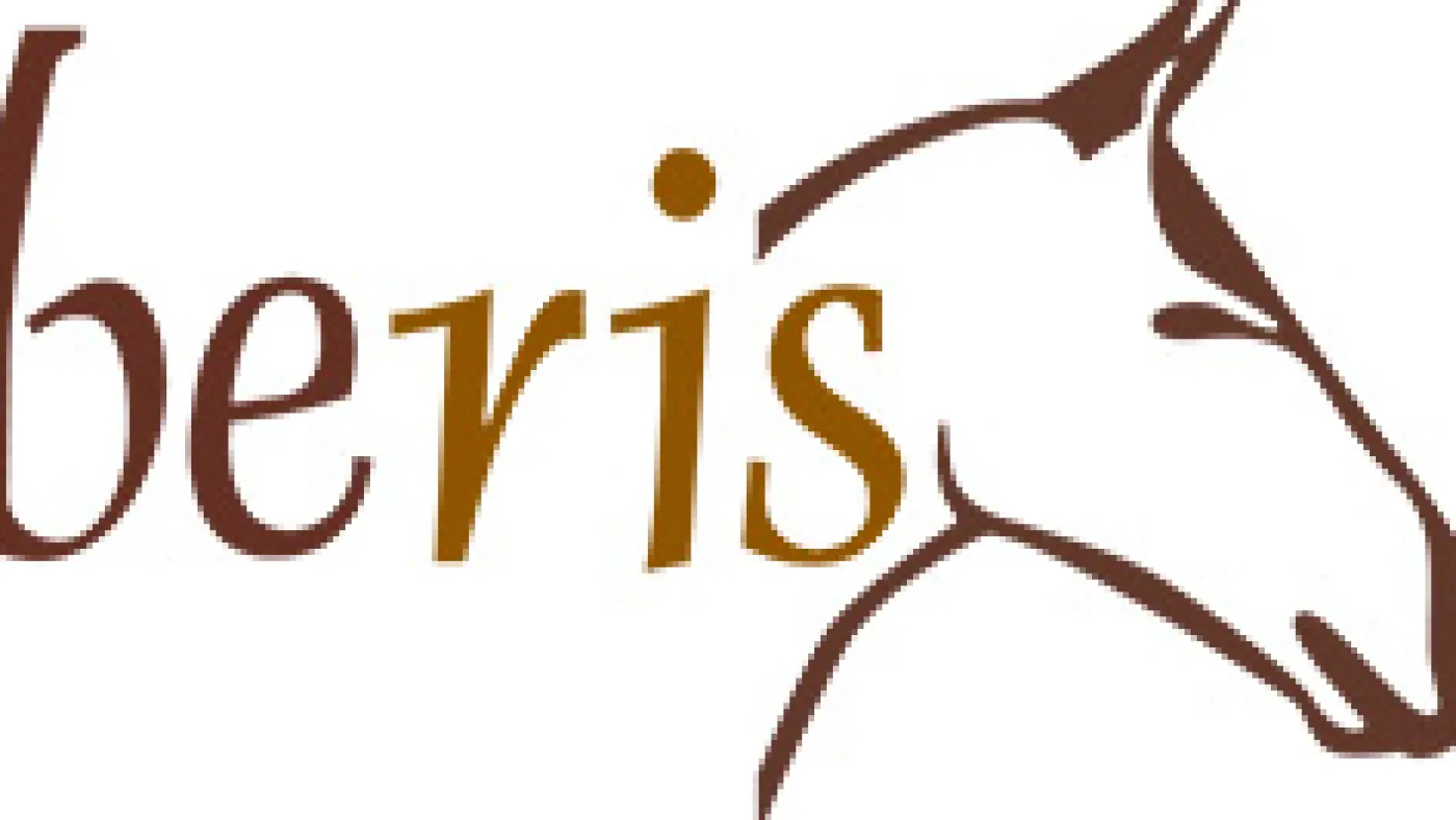 beris Olivenkopfgebisse>Olivenkopfgebiss, einfach gebrochen