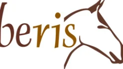 beris Stangengebisse|Olivenkopfgebisse><noscript><img width=