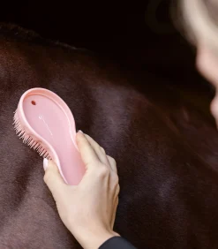 Waldhausen Hundebedarf|Putzzeug></noscript>Bürste 