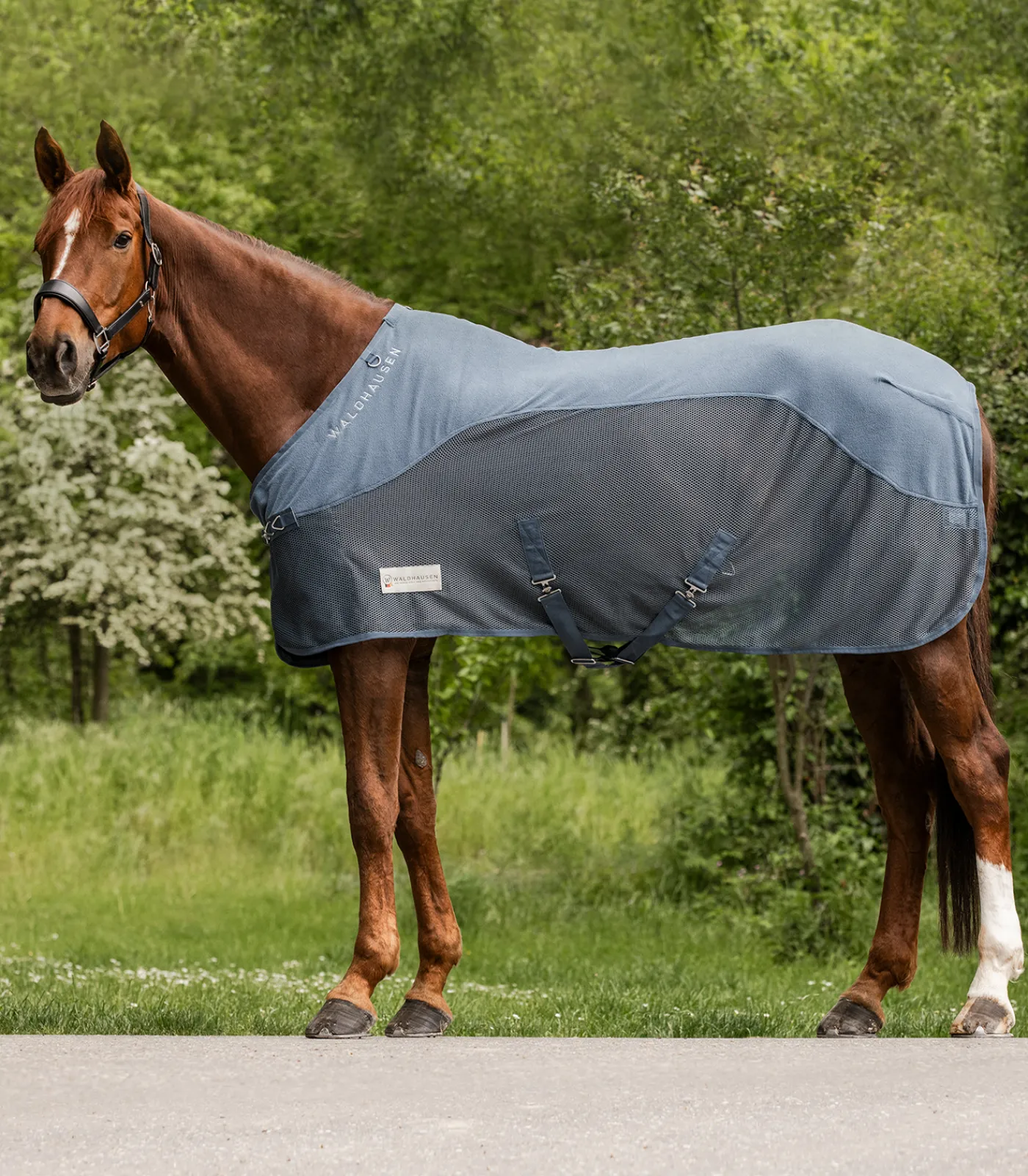 Waldhausen Transport|Fliegen- & Ekzemerdecken>COMFORT Fleece-Fliegendecke