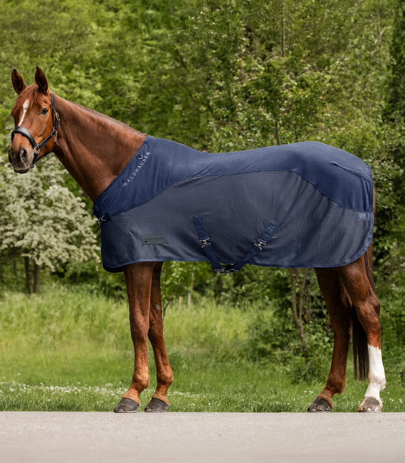 Waldhausen Transport|Fliegen- & Ekzemerdecken>COMFORT Fleece-Fliegendecke