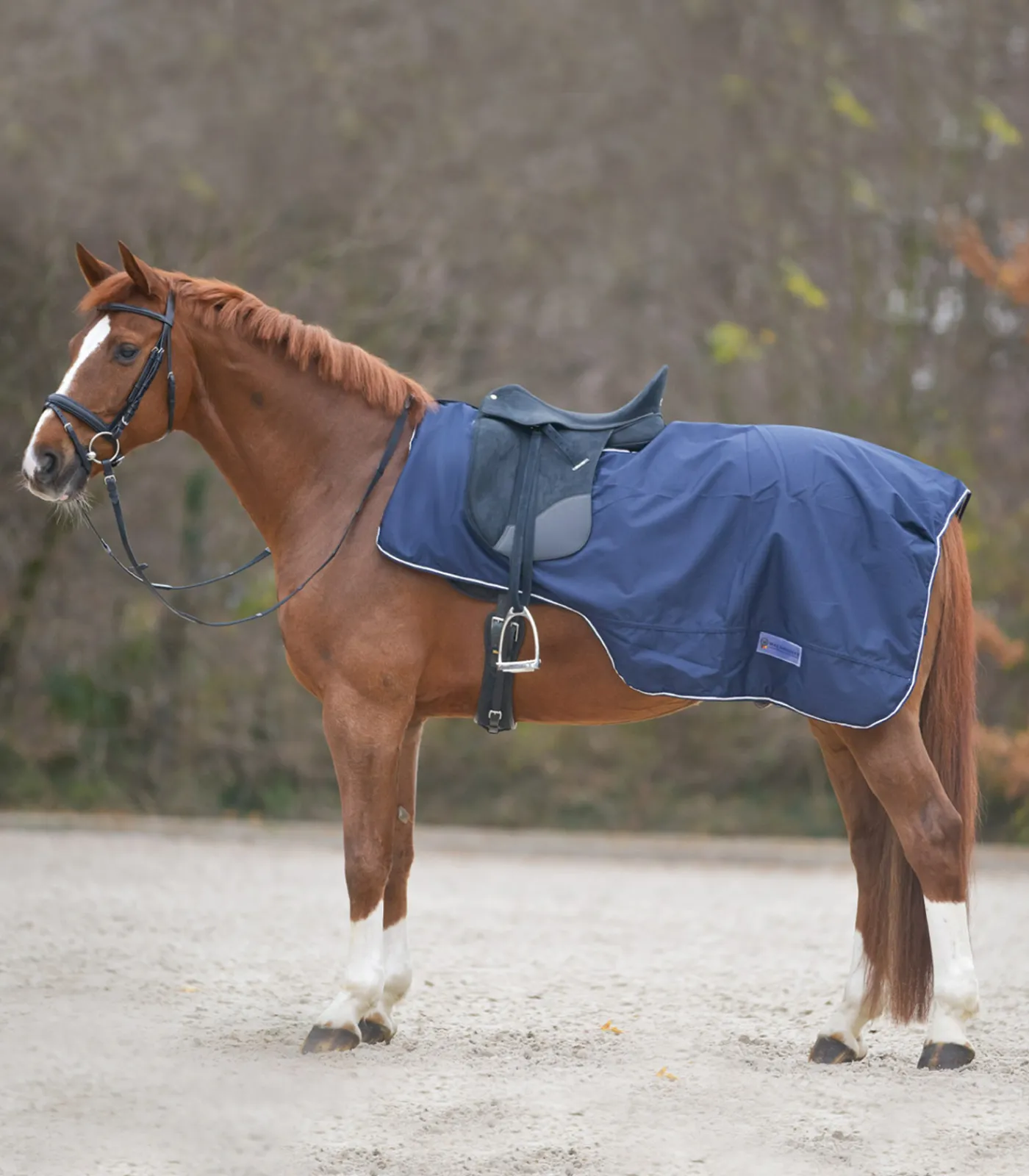Waldhausen Pony & Shetty|Ausreit- & Führanlagendecken>COMFORT Regendecke mit Sattelausschnitt