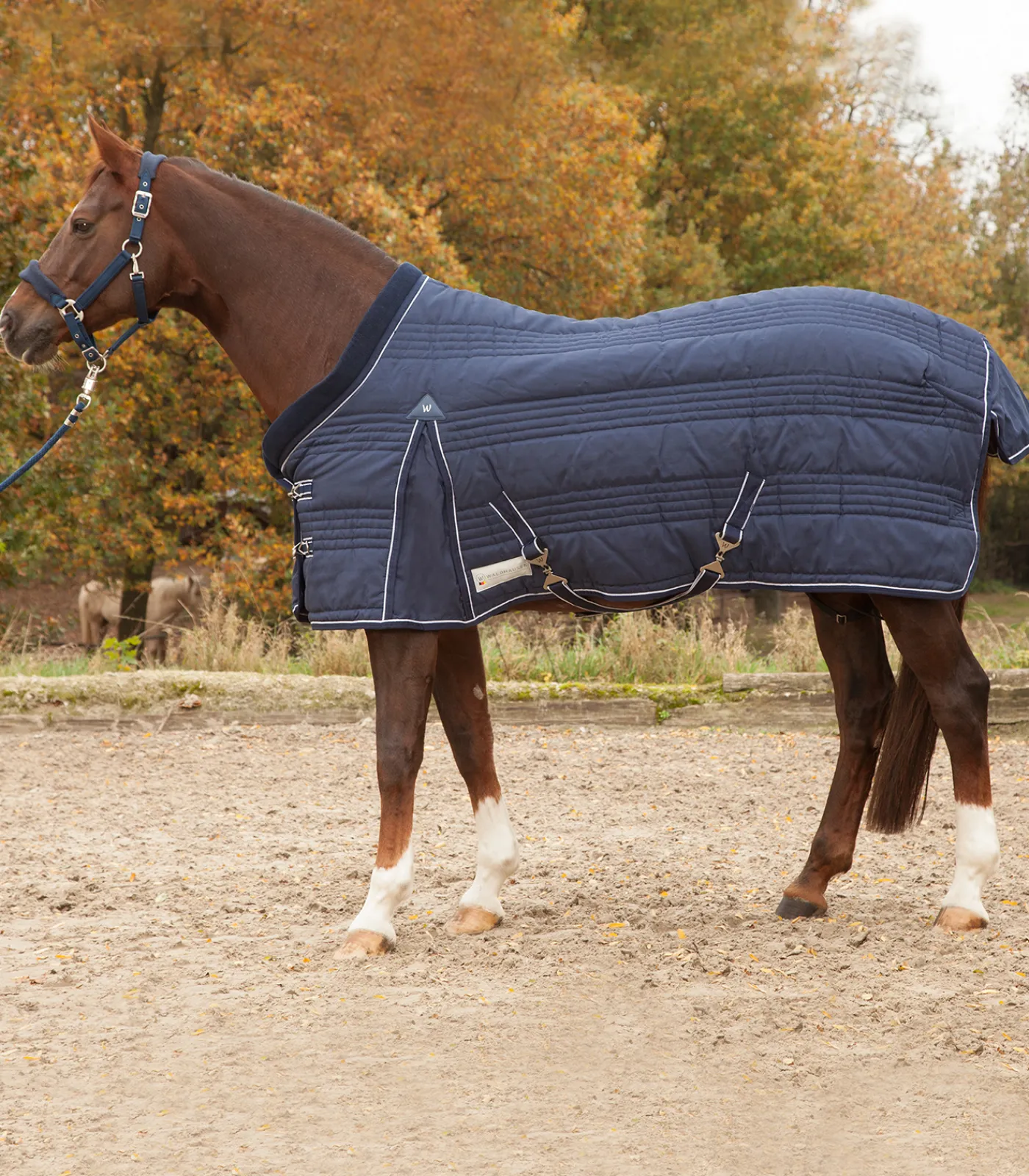 Waldhausen Stalldecken>COMFORT Stalldecke, 200 g