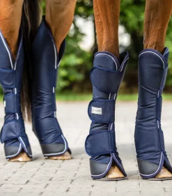 Waldhausen Transport|Pony & Shetty><noscript><img width=