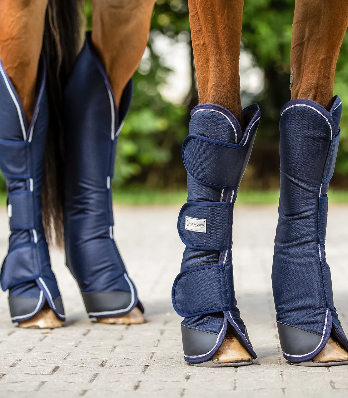 Waldhausen Transport|Pony & Shetty>COMFORT Transportgamasche, 4er Set