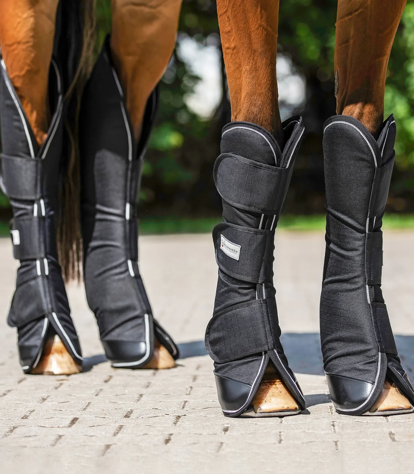 Waldhausen Transport|Pony & Shetty>COMFORT Transportgamasche, 4er Set