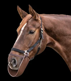 Waldhausen Weide|Fressbremsen & Kopperriemen>Deckenbeißerschutz