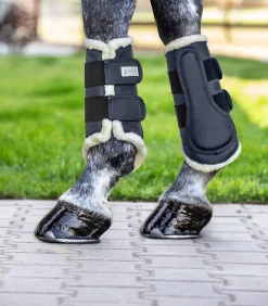 Waldhausen Gamaschen & Streichkappen></noscript>Dressurgamasche Comfort