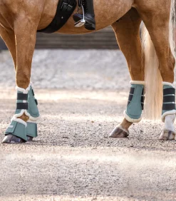 Waldhausen Gamaschen & Streichkappen></noscript>Dressurgamasche Comfort