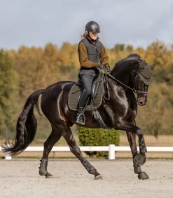 Waldhausen Gamaschen & Streichkappen><noscript><img width=