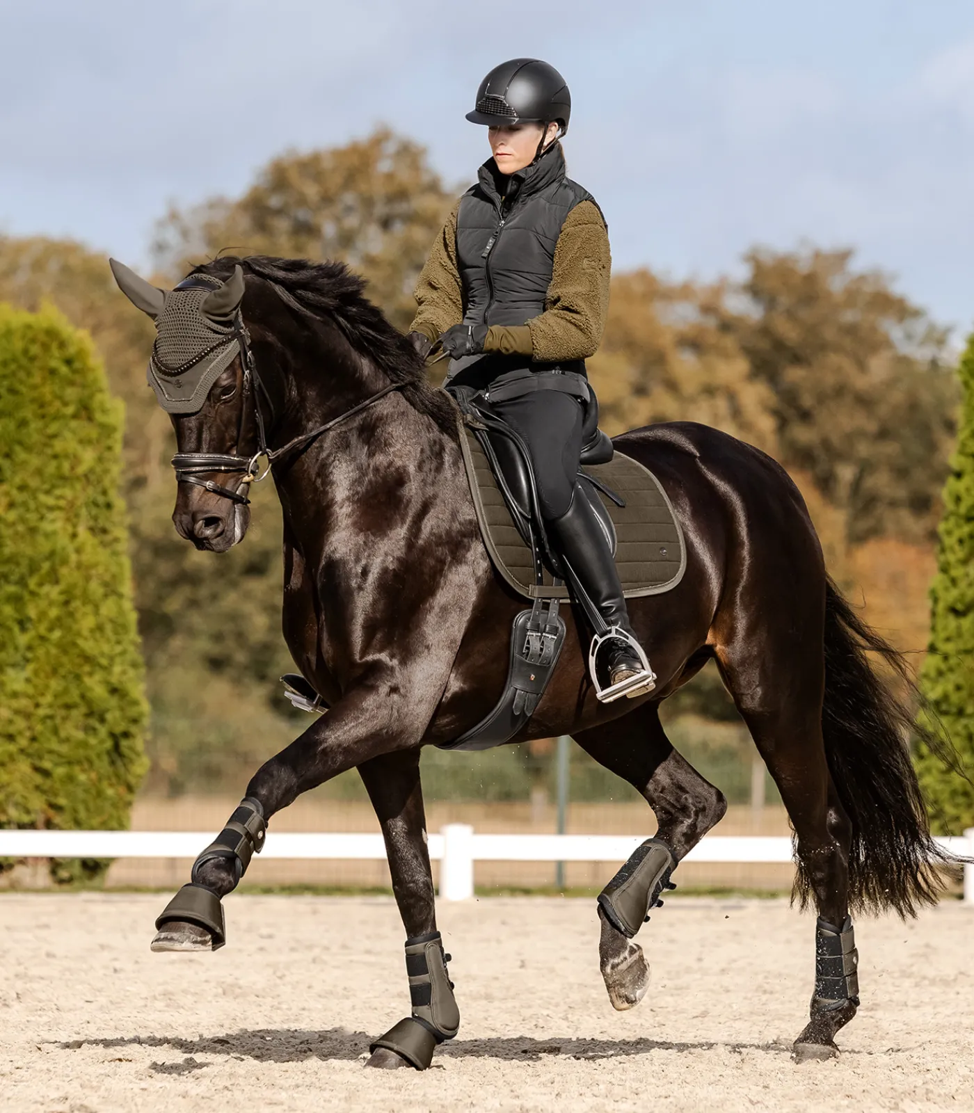 Waldhausen Gamaschen & Streichkappen>Dressurgamasche Comfort Fit