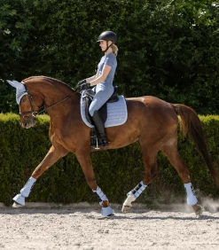 Waldhausen Gamaschen & Streichkappen><noscript><img width=