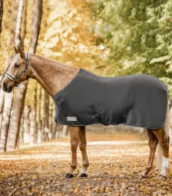 Waldhausen Pony & Shetty|Abschwitzdecken></noscript>ECONOMIC Fleecedecke mit Kreuzgurten