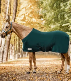 Waldhausen Pony & Shetty|Abschwitzdecken></noscript>ECONOMIC Fleecedecke mit Kreuzgurten
