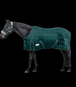 Waldhausen Stalldecken></noscript>ECONOMIC Stalldecke, 100 g