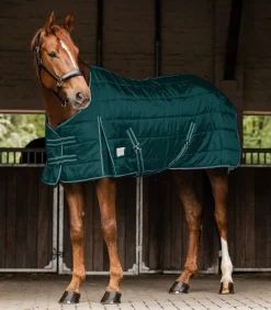 Waldhausen Stalldecken></noscript>ECONOMIC Stalldecke, 100 g