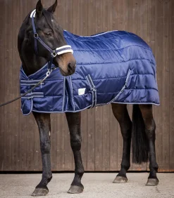 Waldhausen Stalldecken>ECONOMIC Stalldecke, 300 g