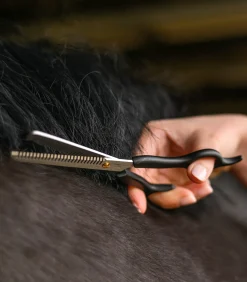 Waldhausen Schermaschine & Scheren>Effilierschere