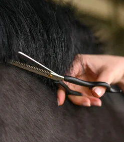 Waldhausen Schermaschine & Scheren><noscript><img width=