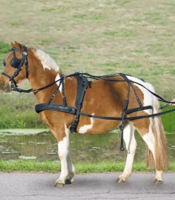 STAR Fahrsport>Einspänner Synthetikgeschirr, Pony und Shetty