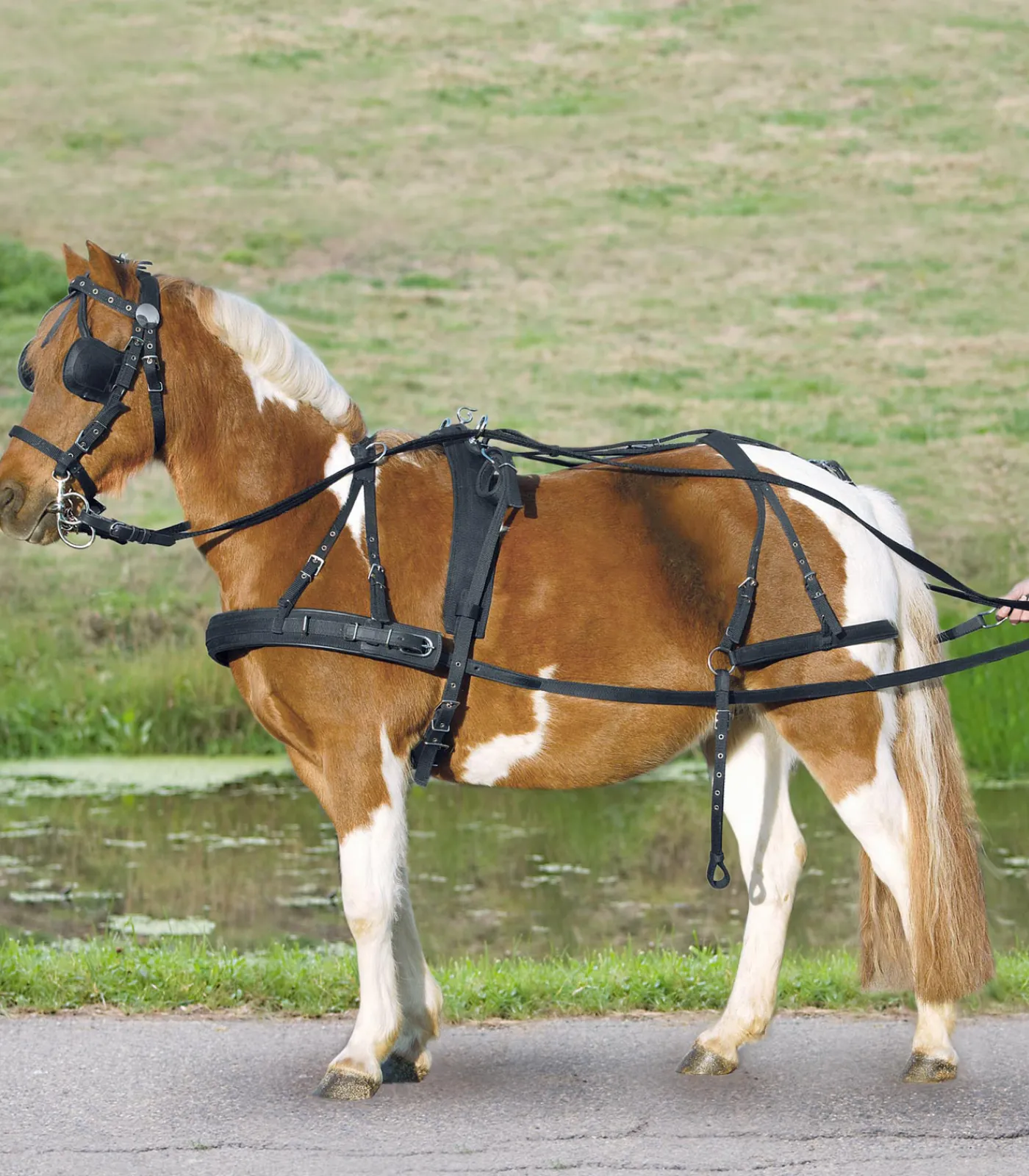 STAR Fahrsport>Einspänner Synthetikgeschirr, Pony und Shetty