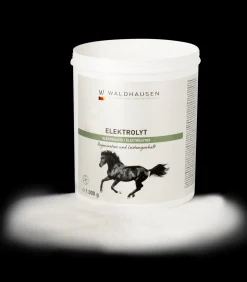 Waldhausen Ergänzungsfuttermittel|Stallapotheke></noscript>Elektrolyt - Regeneration und Leistungserhalt, 1kg