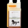 Waldhausen Ergänzungsfuttermittel|Stallapotheke>Elektrolyt Liquid - Regeneration und Leistungserhalt, 1l