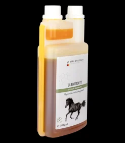 Waldhausen Ergänzungsfuttermittel|Stallapotheke></noscript>Elektrolyt Liquid - Regeneration und Leistungserhalt, 1l