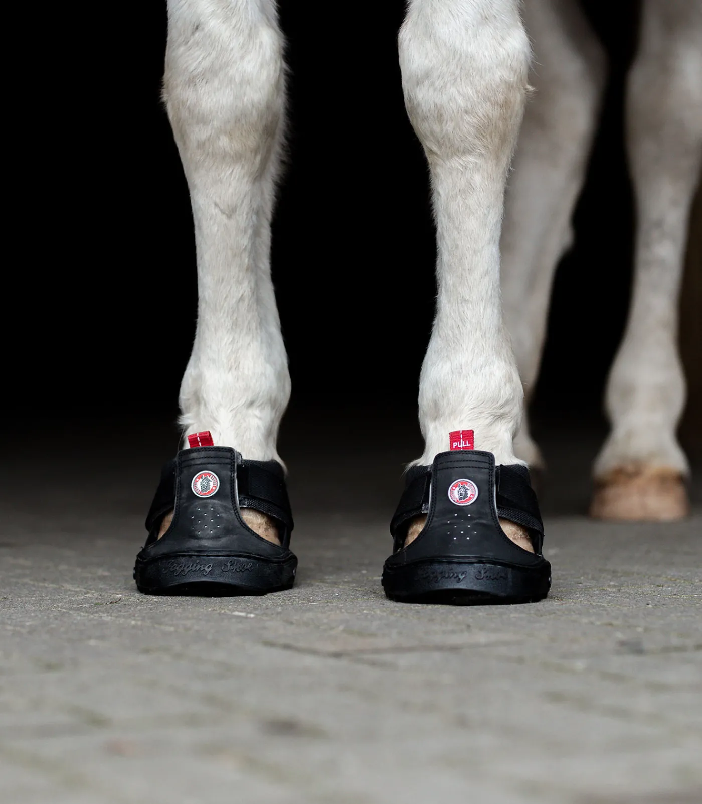 Equine Fusion Huf & Pferdebein|Hufglocken & Fesselschutz>® Trekking Shoe