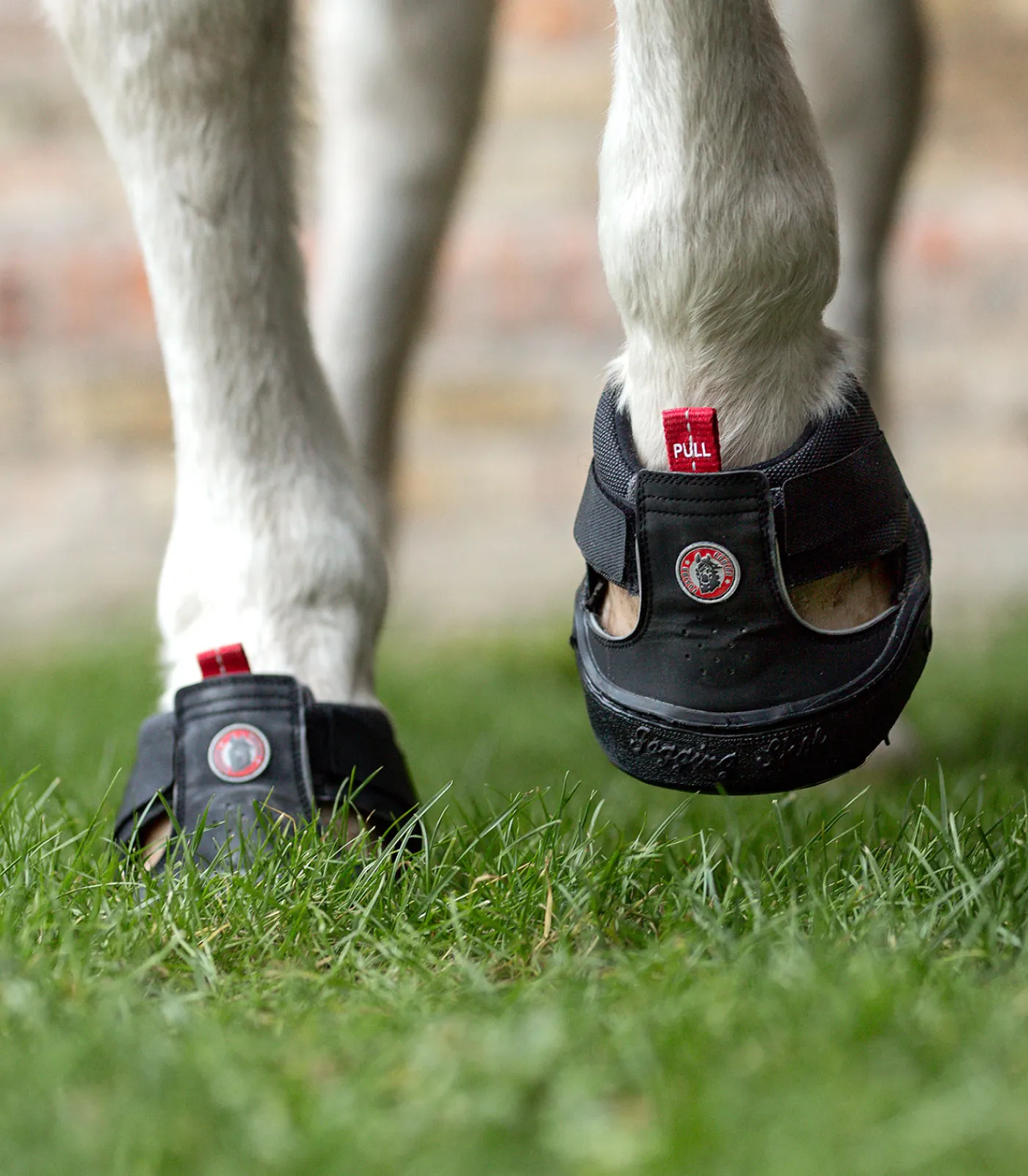 Equine Fusion Huf & Pferdebein|Hufglocken & Fesselschutz>® Trekking Shoe