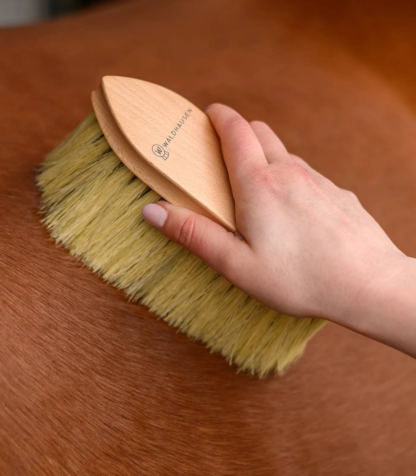 Waldhausen Putzzeug>Exclusive Line Fellbürste