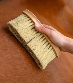 Waldhausen Putzzeug><noscript><img width=