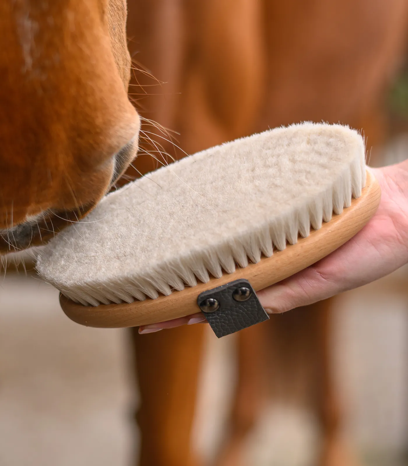 Waldhausen Putzzeug>Exclusive Line Glanzbürste