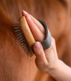 Waldhausen Putzzeug|Mähne & Schweif><noscript><img width=