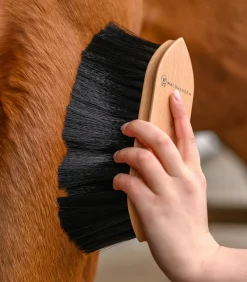 Waldhausen Putzzeug></noscript>Exclusive Line Staubbürste