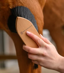 Waldhausen Putzzeug></noscript>Exclusive Line Staubbürste