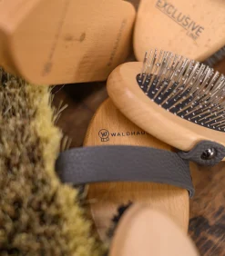 Waldhausen Putzzeug></noscript>Exclusive Line Staubbürste