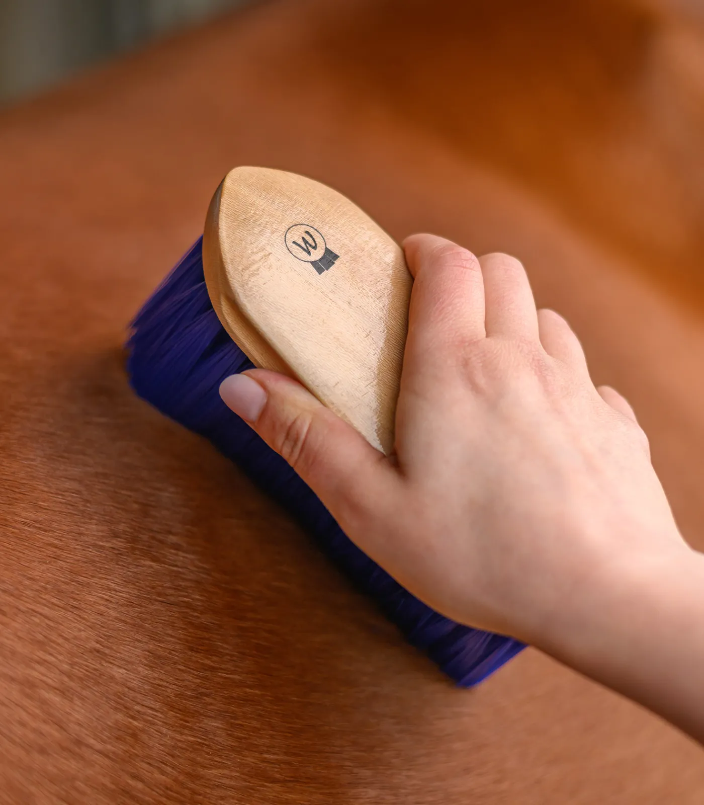 Waldhausen Mähne & Schweif|Putzzeug>Fell- und Mähnenbürste