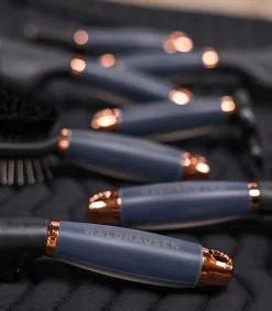 Waldhausen Hundebedarf|Putzzeug><noscript><img width=