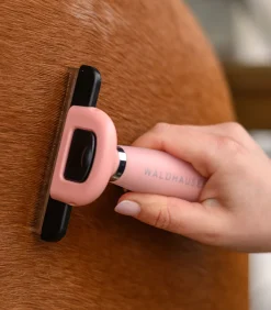 Waldhausen Hundebedarf|Putzzeug><noscript><img width=