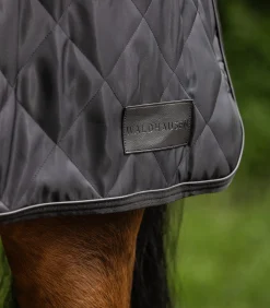 Waldhausen Ausreit- & Führanlagendecken></noscript>Führmaschinendecke EXCLUSIVE, 50g